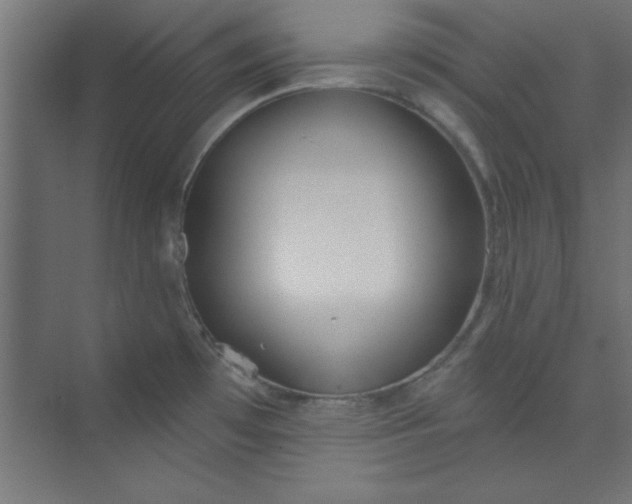 X0000073971481200609051832