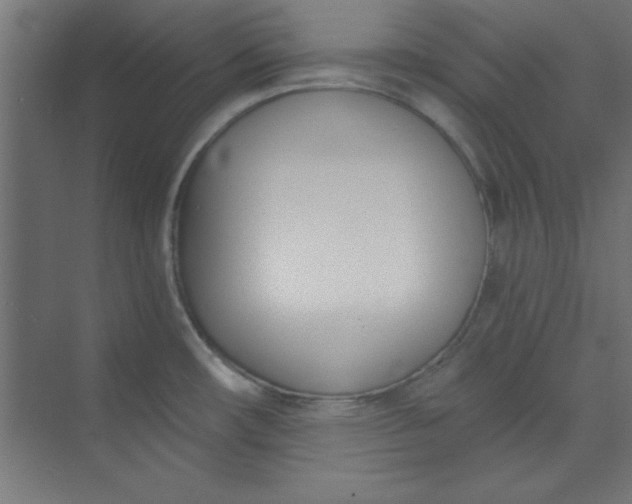 X0000073971482200609051832