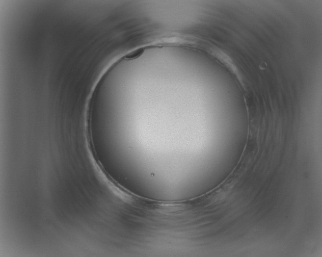 X0000073971483200609051832