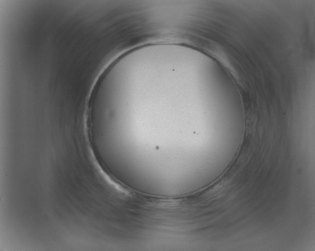 X0000073971484200609051832