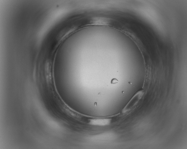 X0000073971487200609051832