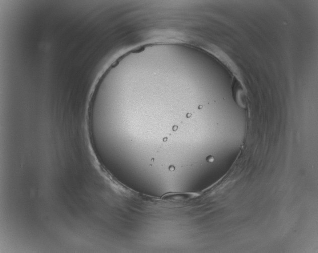 X0000073971488200609051832