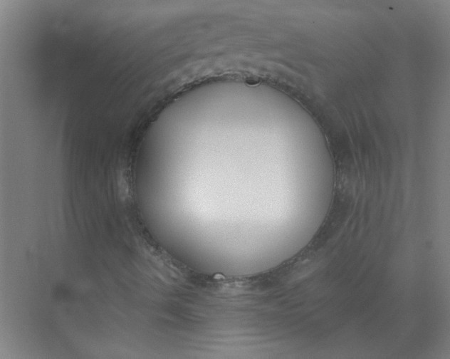 X0000073971490200609051831