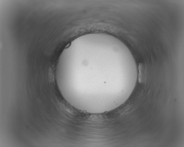 X0000073971491200609051831