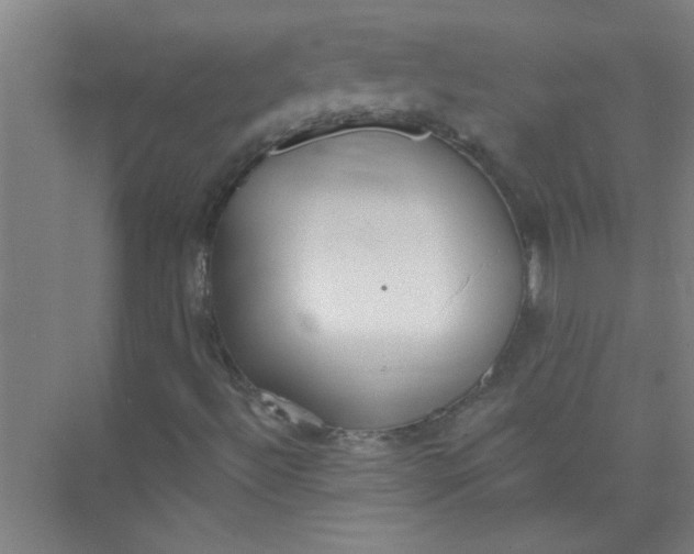 X0000073971492200609051831