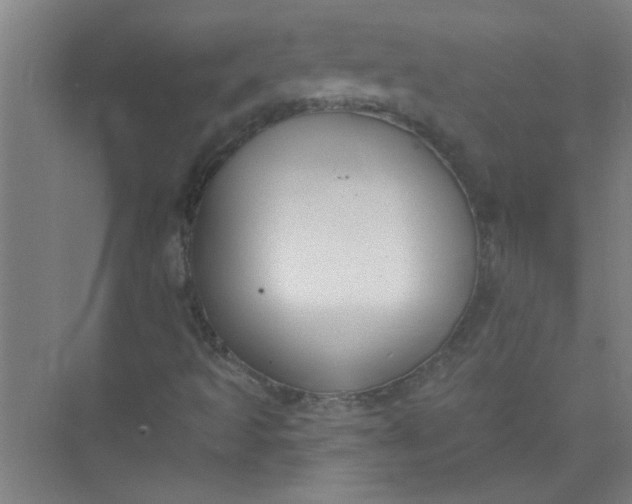 X0000073971493200609051831