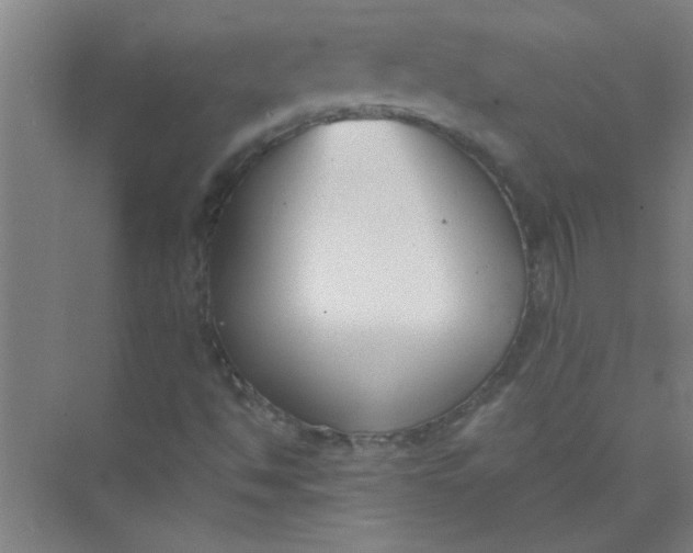 X0000073971494200609051831