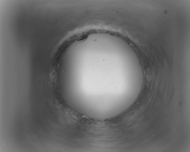 X0000073971495200609051831