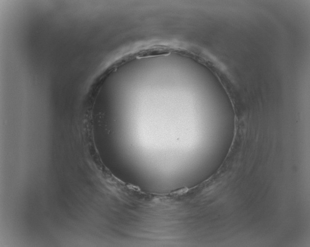 X0000073971496200609051831