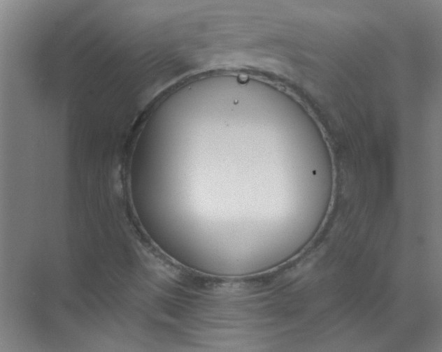 X0000073971497200609051831