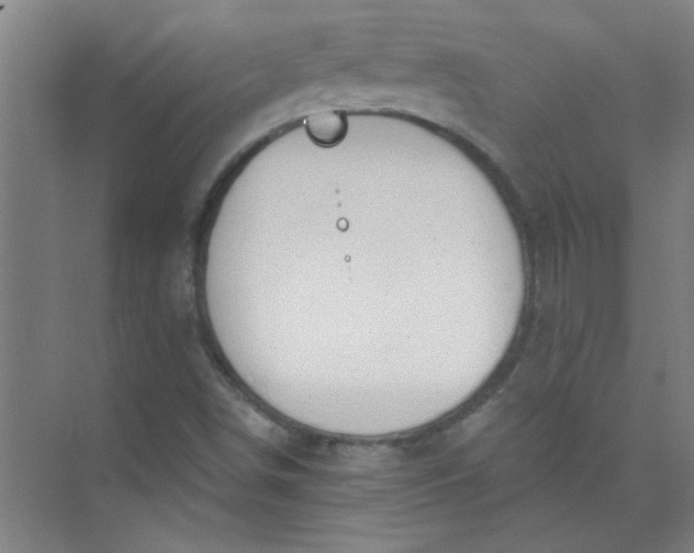 X0000073971498200609051831