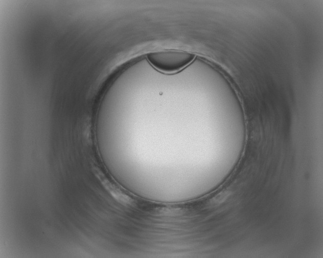 X0000073971499200609051831