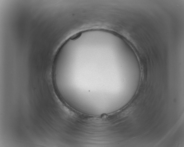 X0000073971500200609051831