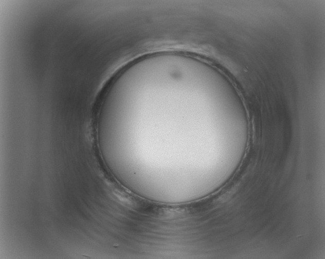 X0000073971501200609051832