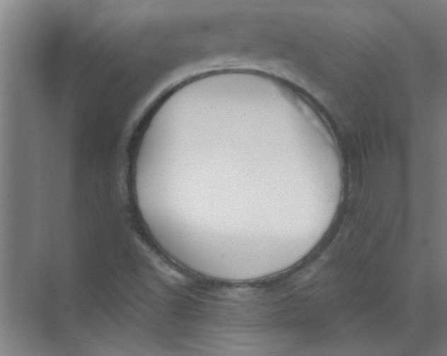 X0000073971502200609051832