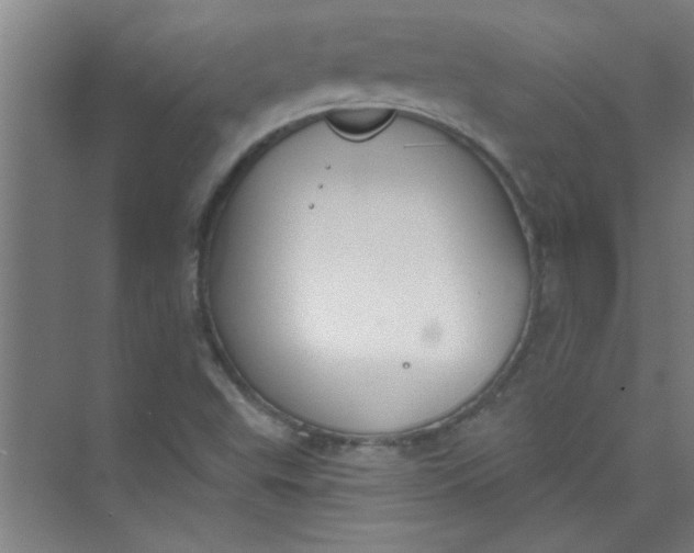 X0000073971503200609051832