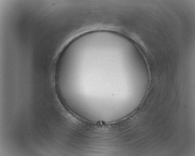 X0000073971504200609051832