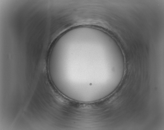 X0000073971505200609051832