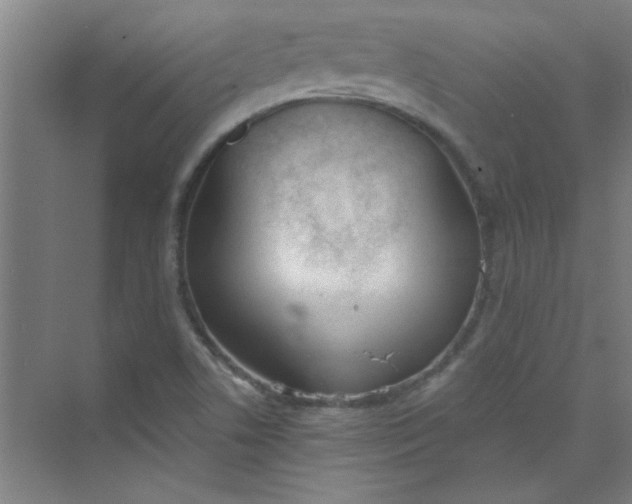 X0000073971506200609051832