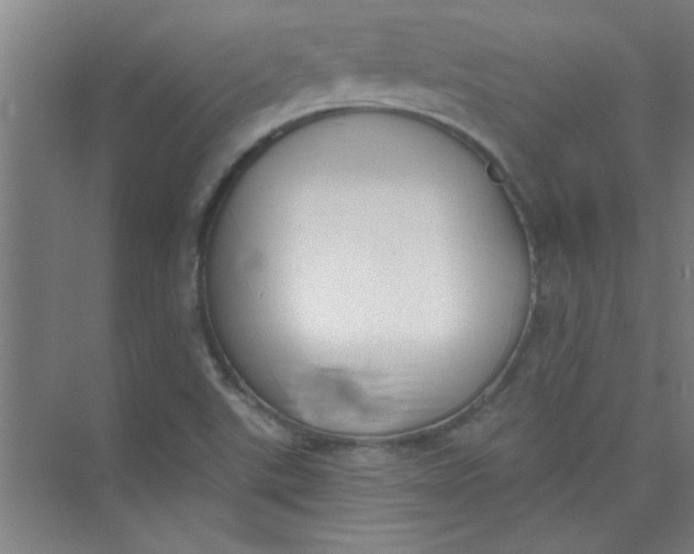 X0000073971507200609051832