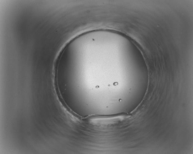 X0000073971508200609051832