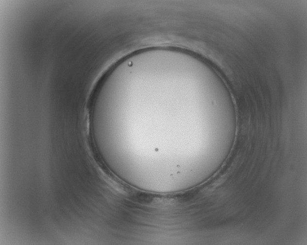 X0000073971509200609051832