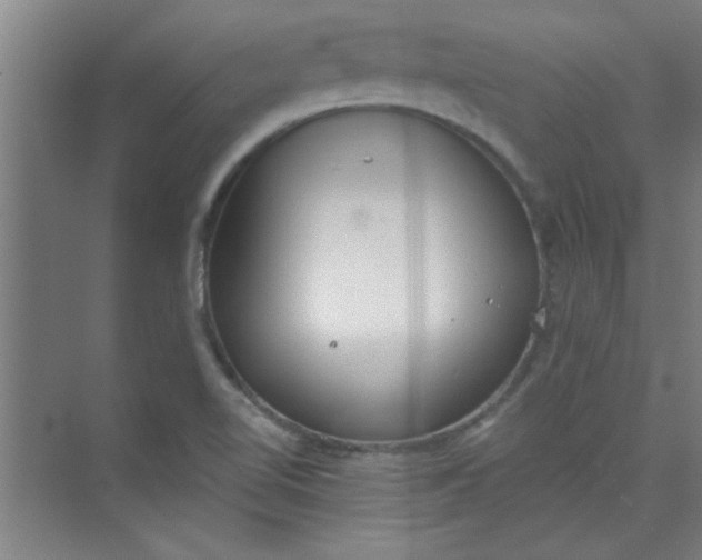 X0000073971510200609051832