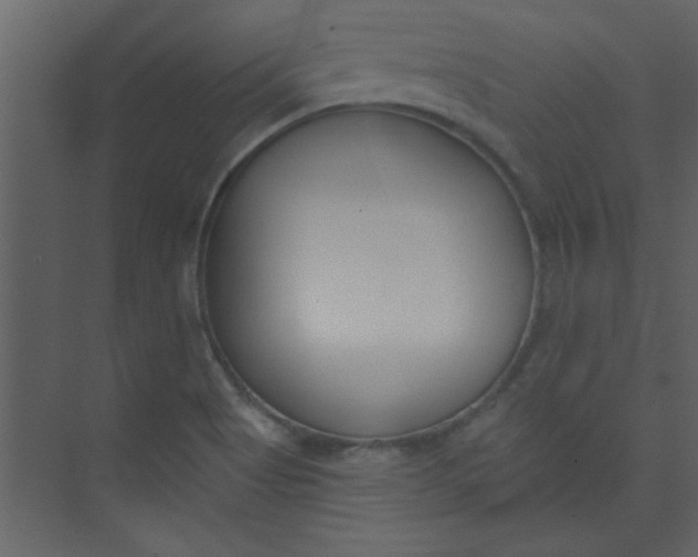 X0000073971513200609051832