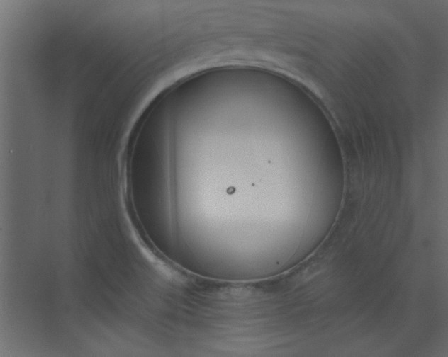 X0000073971515200609051832