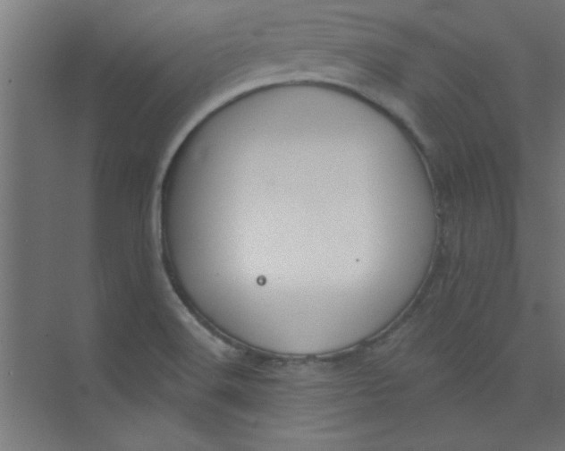 X0000073971516200609051832