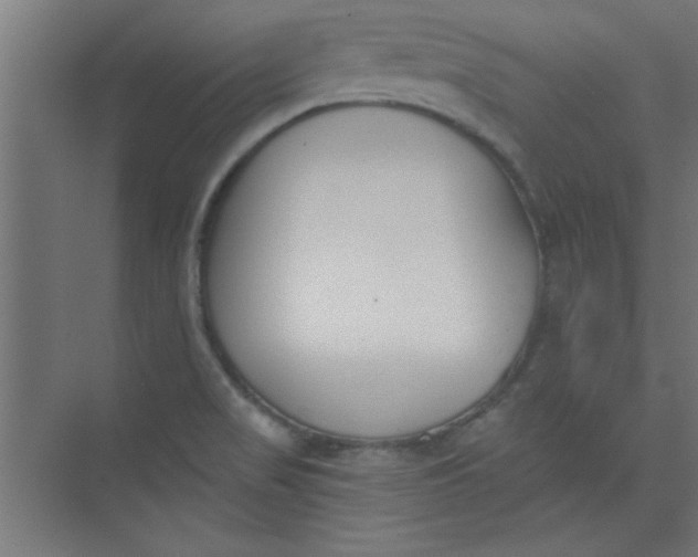 X0000073971517200609051832