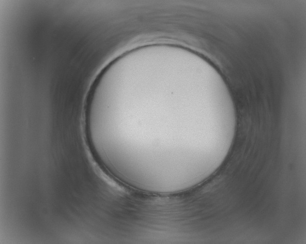 X0000073971518200609051832