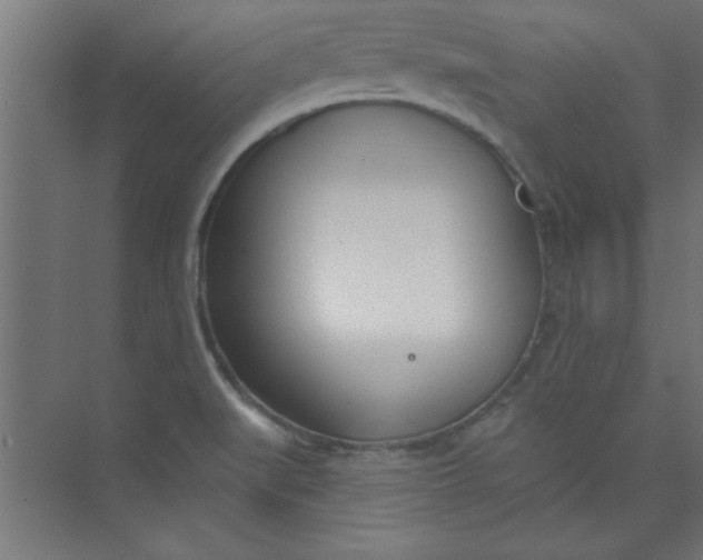 X0000073971519200609051832