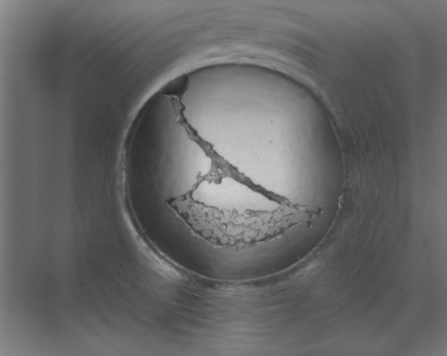 X0000073971522200609051832