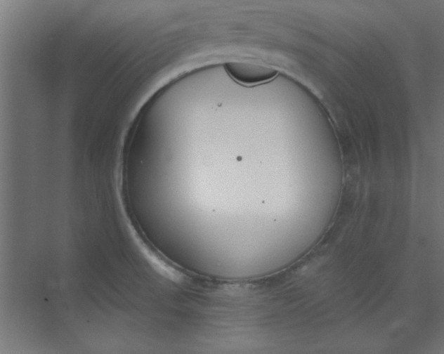 X0000073971523200609051832