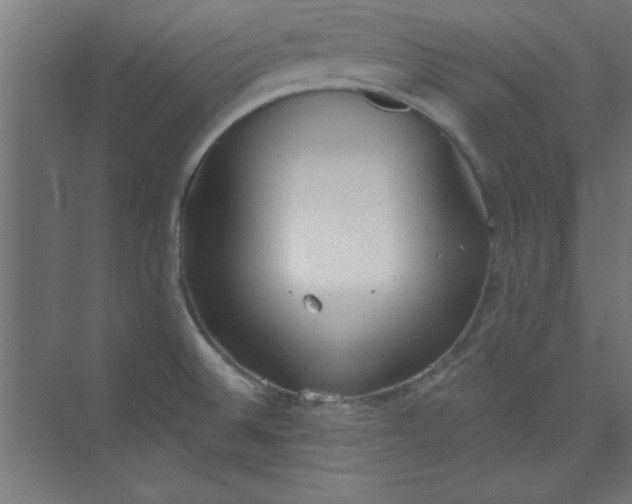 X0000073971524200609051832