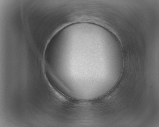 X0000073971525200609051832