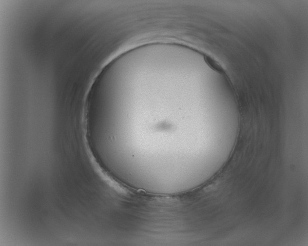 X0000073971526200609051832