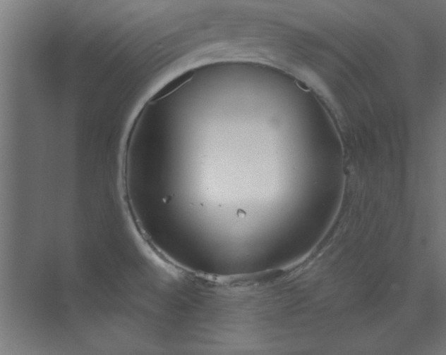 X0000073971528200609051832