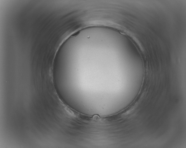 X0000073971529200609051832