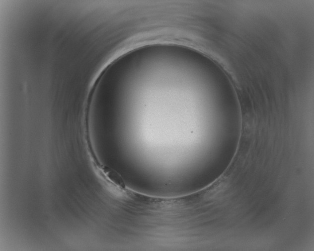 X0000073971530200609051832