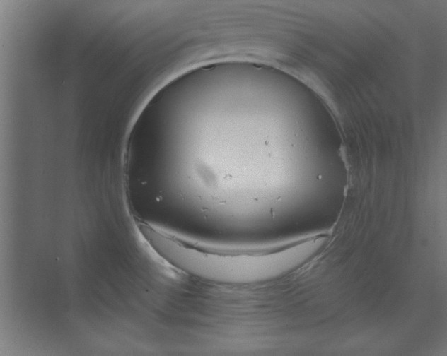 X0000073971532200609051832