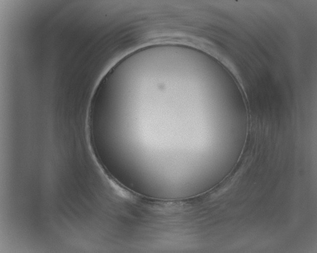 X0000073971533200609051832