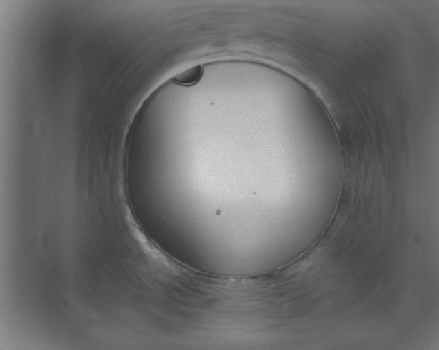 X0000073971534200609051832