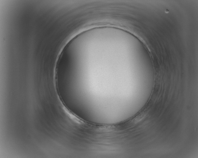 X0000073971535200609051832