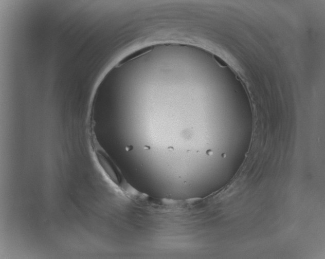 X0000073971536200609051832