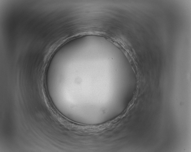 X0000073970001200609111754