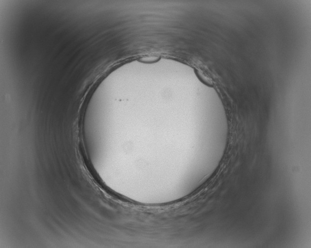 X0000073970002200609111754