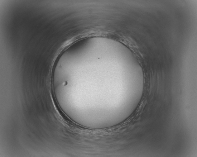 X0000073970003200609111754