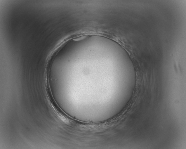 X0000073970005200609111754